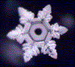 Ionized Water Molecule