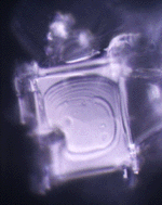 Distilled Water Molecule